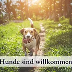 Apartament Fit-relax Mit Eigenem Sportstudio Meersburg